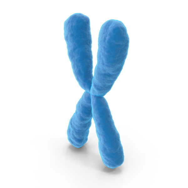 Chromosome X PNG & PSD Images