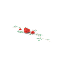 Paper Flower PNG & PSD Images