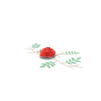 Paper Flower PNG & PSD Images