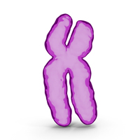 Cartoon Chromosome X PNG & PSD Images