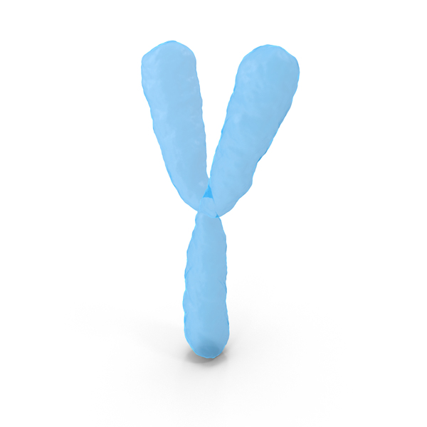 Chromosome Y PNG & PSD Images