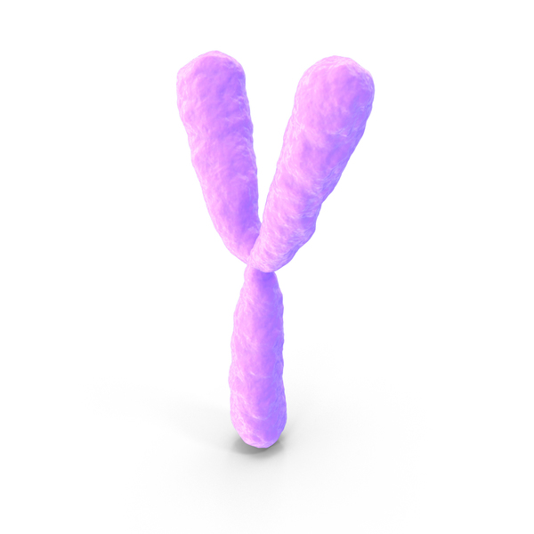 Chromosome Y PNG & PSD Images