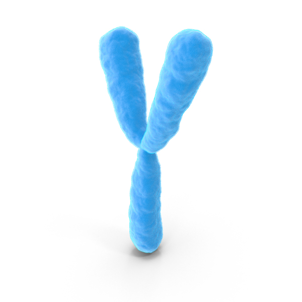Chromosome Y PNG & PSD Images