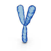 Chromosome Y PNG & PSD Images
