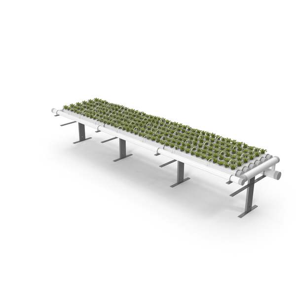 Hydroponics Set PNG & PSD Images