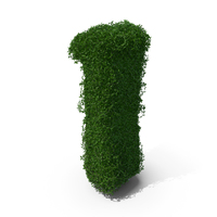 Boxwood Number One PNG & PSD Images