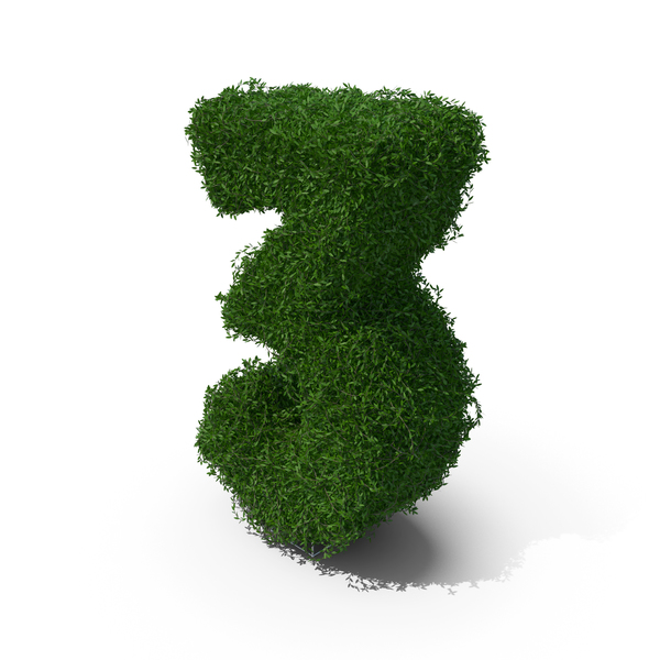 Boxwood Number Three PNG & PSD Images