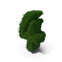 Boxwood Number Four PNG & PSD Images