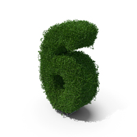 Boxwood Number Six PNG & PSD Images