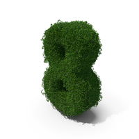 Boxwood 8 PNG & PSD Images