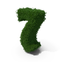 Boxwood Number 7 PNG & PSD Images