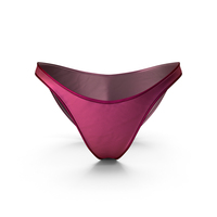 Pink Silk Underwear PNG & PSD Images