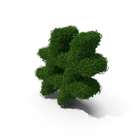 Boxwood Symbol # PNG & PSD Images