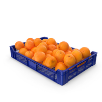 Plastic Tray With Oranges PNG & PSD Images
