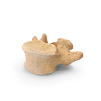 Lumbar Vertebrae PNG & PSD Images