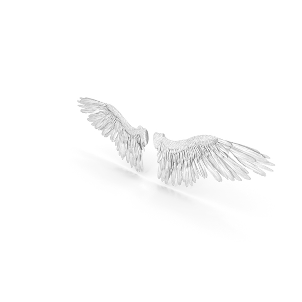 Angel Wings PNG & PSD Images