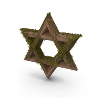 Ancient Stone with Ivy Star of David PNG & PSD Images