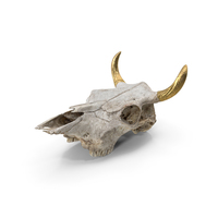 Cow Skull With Golden Horns PNG & PSD Images