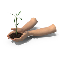 Hands Holding Plant PNG & PSD Images