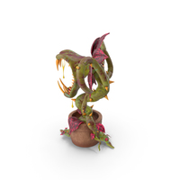 Carnivorous Plant PNG & PSD Images