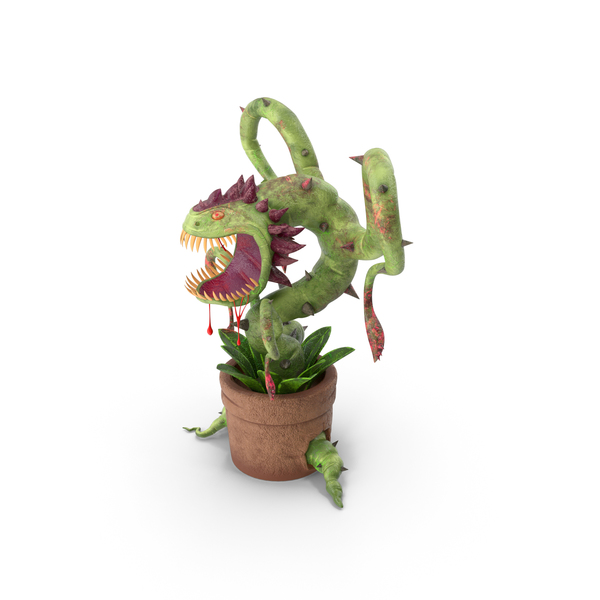 Carnivorous Flytrap Plant PNG & PSD Images