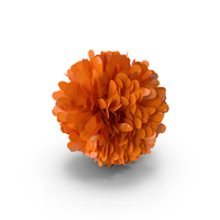 Orange Pom Pom PNG & PSD Images