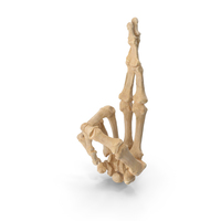 Skeletal Fingers Crossed PNG & PSD Images