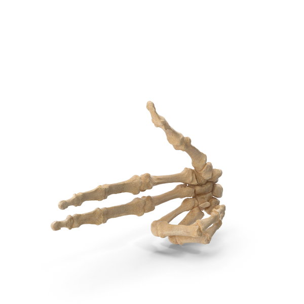 Skeletal Gun Sign PNG & PSD Images