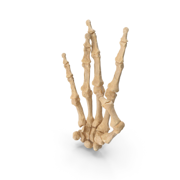 Skeletal West Side Sign PNG & PSD Images