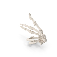 Human Hand Bones White Gun Sign PNG & PSD Images