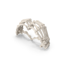 Human Hand Bones White Heart Sign PNG & PSD Images