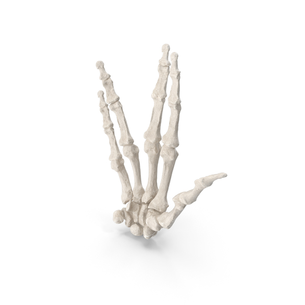 Human Hand Bones White Vulcan Sign PNG & PSD Images