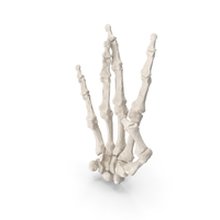 Human Hand Bones White West Side Sign PNG & PSD Images