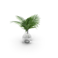 Palm Leaves PNG & PSD Images