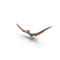 Pteranodon Flying Pose PNG & PSD Images