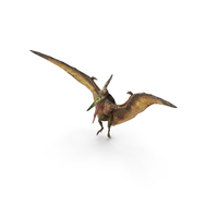 Pteranodon Flying Carnivorous Reptile Landing PNG & PSD Images
