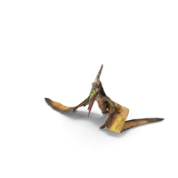 Pteranodon Flying Carnivorous Reptile Standing PNG & PSD Images