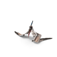 Pterosaur Pteranodon White Standing PNG & PSD Images