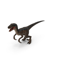 Velociraptor PNG & PSD Images