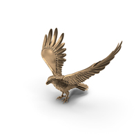 Bronze Eagle PNG & PSD Images