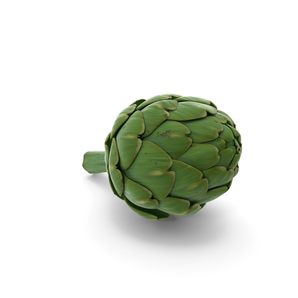 Artichoke PNG & PSD Images