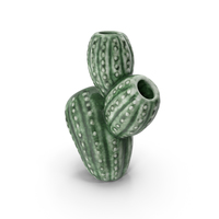 Cactus Vase PNG & PSD Images
