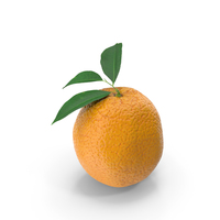 橙色带叶子PNG和PSD图像