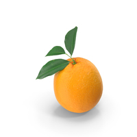 橙色带叶子PNG和PSD图像