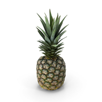 Pineapple PNG & PSD Images