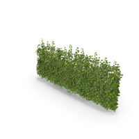 Ivy Patch 5x2,5m PNG & PSD Images