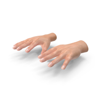 Realistic Hand PNG & PSD Images