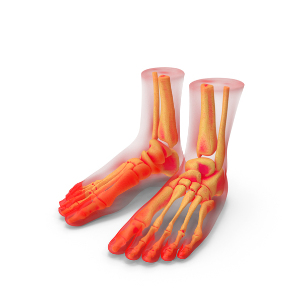 Foot Anatomy Red PNG & PSD Images