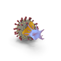 Damaged Virus by Immune Cell Delivery PNG & PSD Images