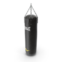 Everlast Punching Bag PNG & PSD Images
